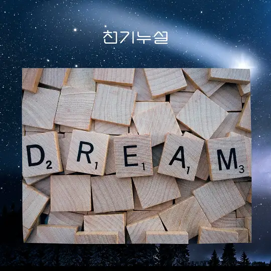 똥꿈 꿈해몽