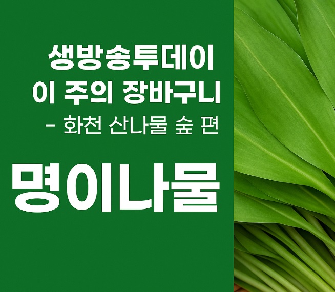 생방송투데이 이 주의 장바구니 화천 산나물 숲 ‘산방환담’에서 만나는 제철 명이나물