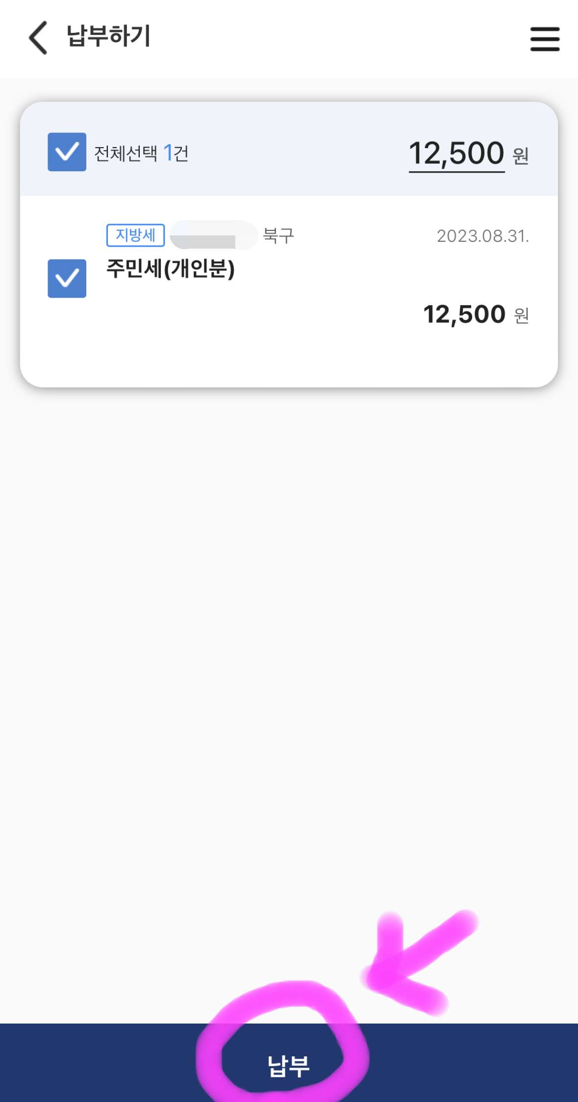 납부할 지방세를 체크 후 아래에 납부를 클릭해 줍니다.