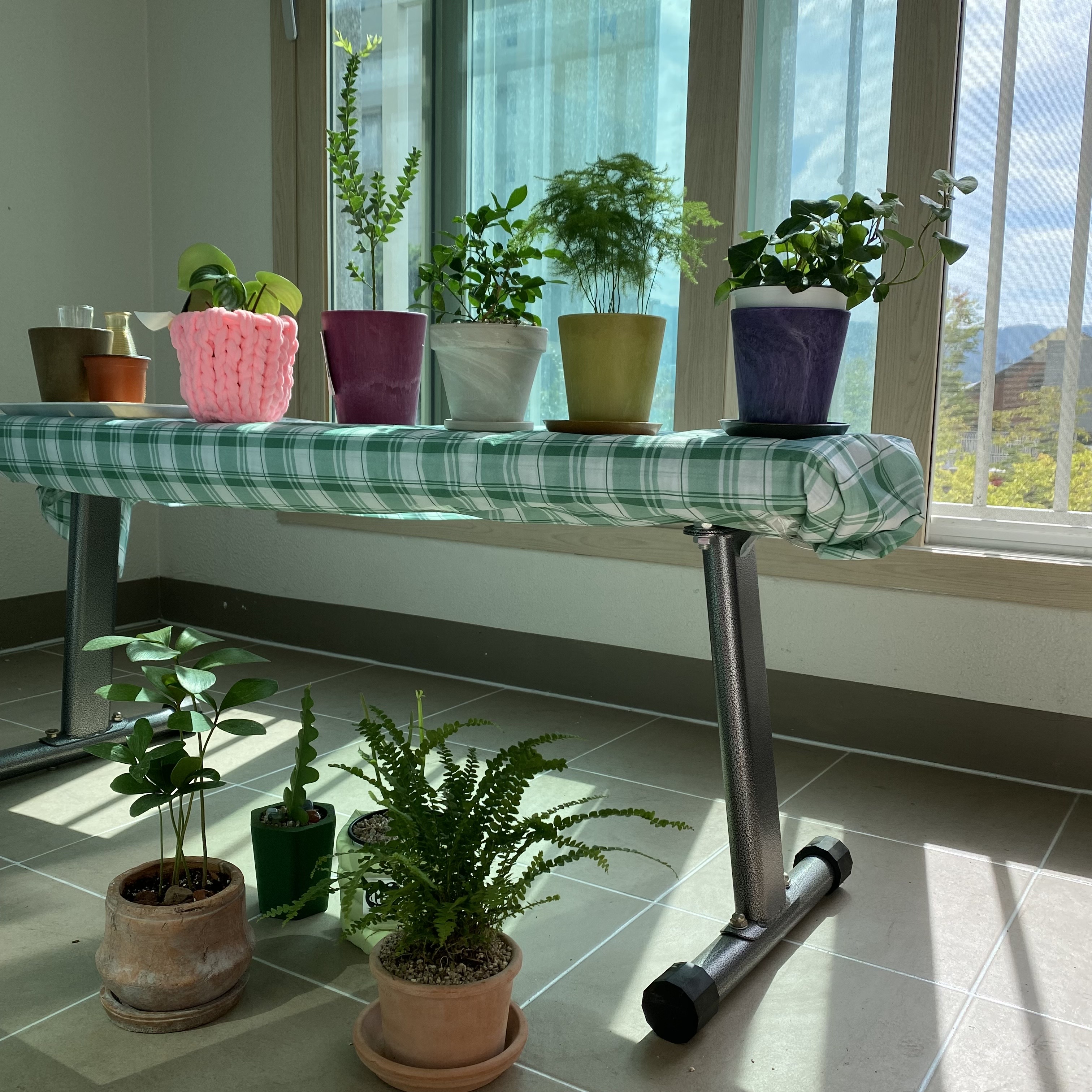 여름베란다의 풍경