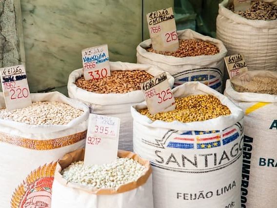 귀리 건강 효과