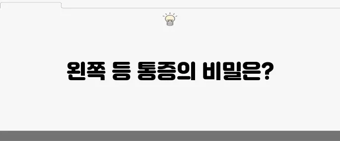 왼쪽 등 통증의 원인 10가지와 효과적인 치료법입니다.