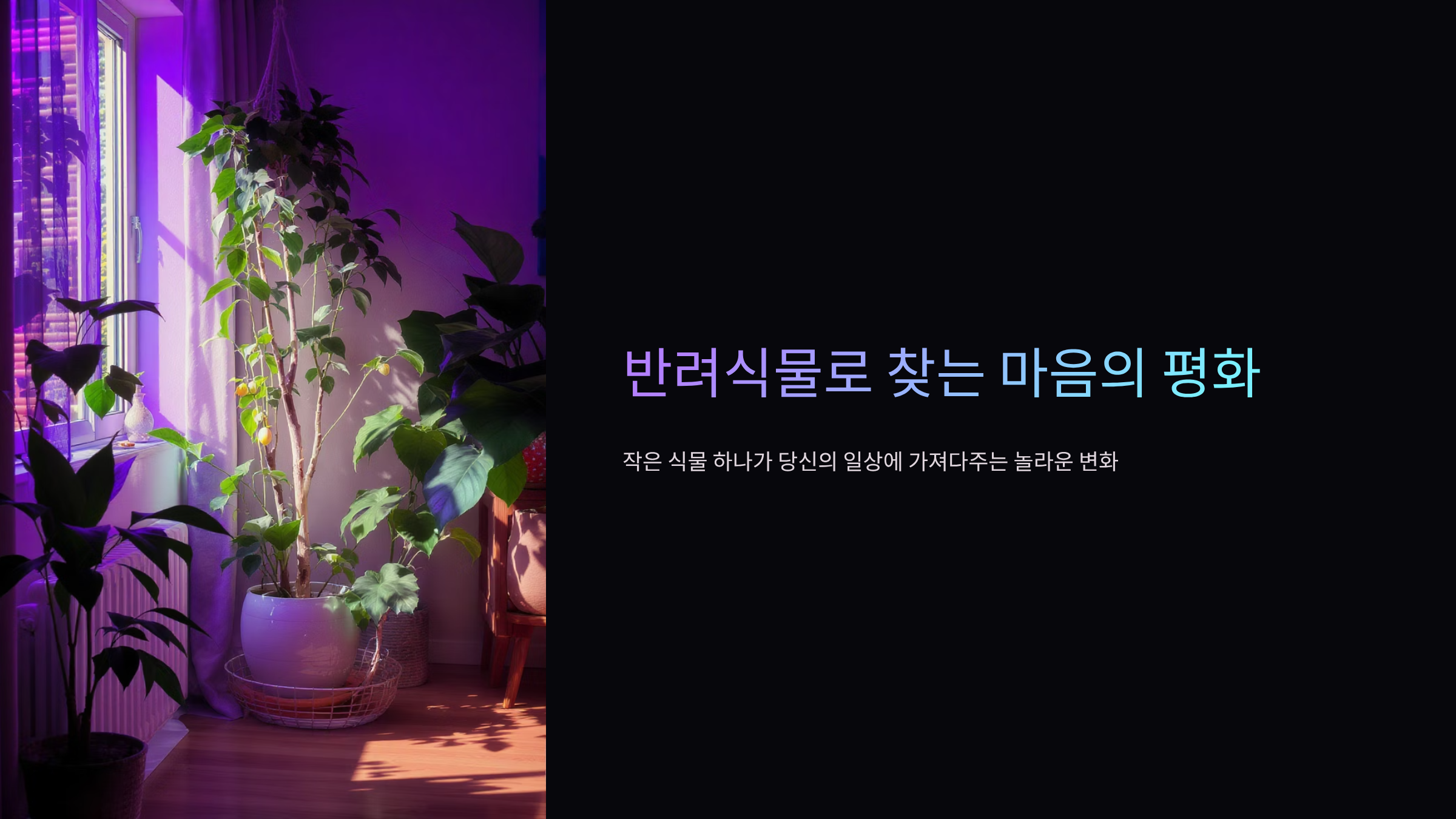 반려식물이 주는 마음의 안정과 힐링 효과