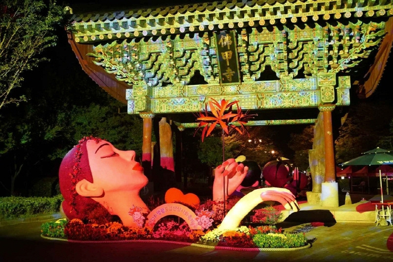 영광 불갑산 야간 상사화