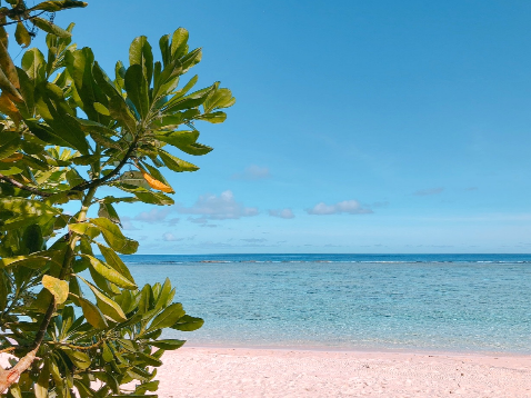 괌 4인가족 예상비용