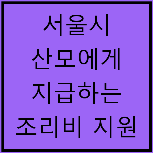 서울시 산모에게 지급하는 조리비 지원 안내