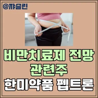 비만치료제 대장주 관련주 TOP5_23