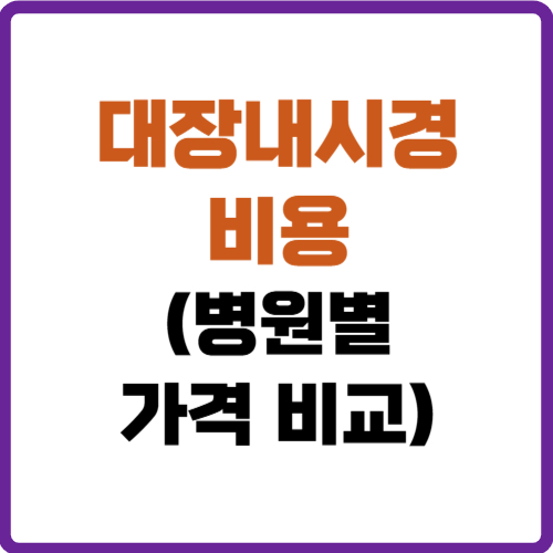 대장내시경 비용