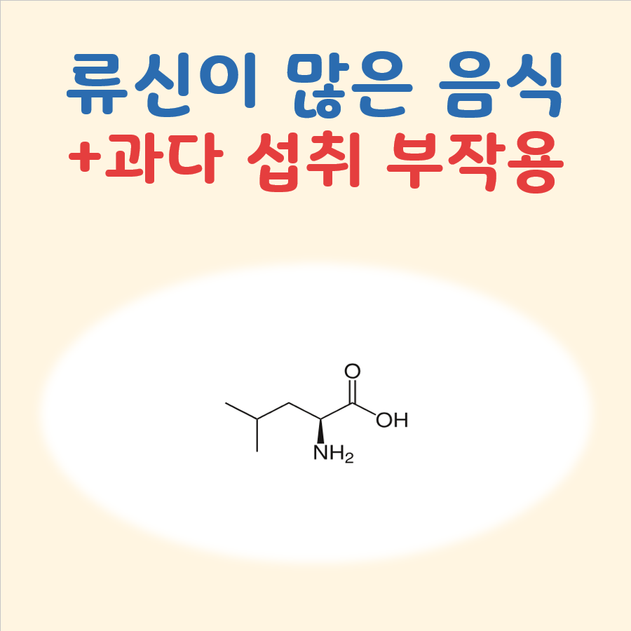 류신이 많은 음식 대표 이미지