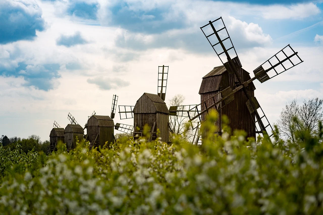 실업급여 자격 조회
