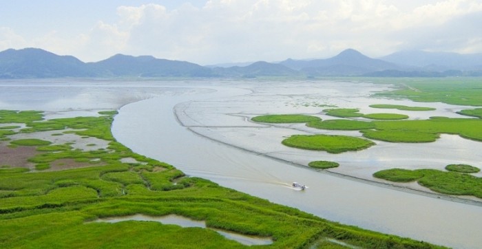 국내여행지추천 - 순천만습지(구 순천만자연생태공원)