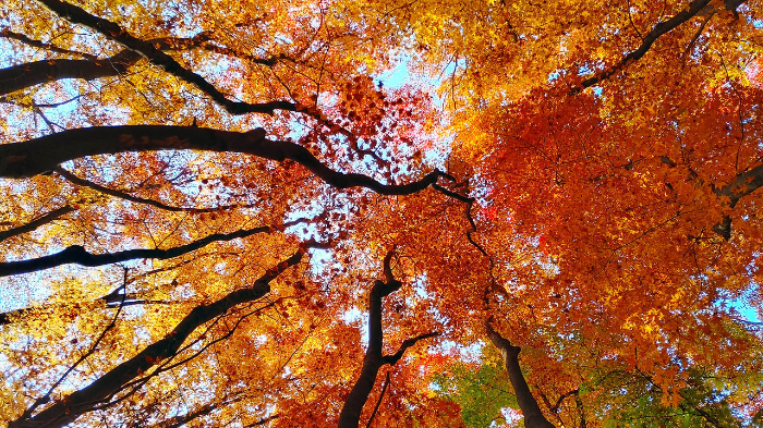 남한산성 둘레길
