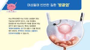 여성 방광염 증상