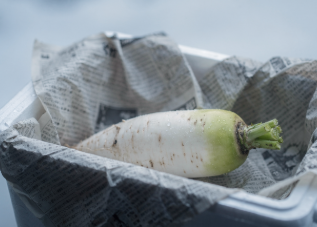 겨울철 무우 보관법