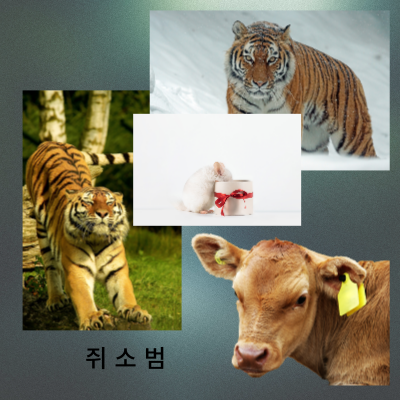 십이지지의생활철학응용