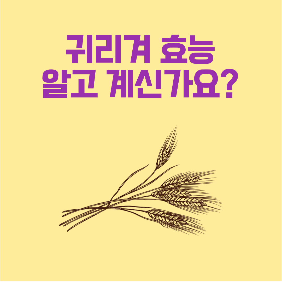 귀리겨(Oat Bran)**는 귀리 껍질 안쪽의 섬유질이 풍부한 부분으로,

일반 귀리보다 식이섬유와 베타글루칸 함량이 높아 다이어트,

콜레스테롤 개선, 갱년기 여성 건강에 효과적인 건강식품