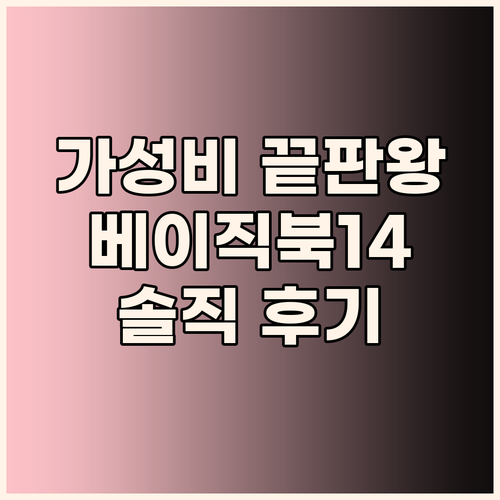 가성비 노트북 끝판왕? 베이직스 베이..