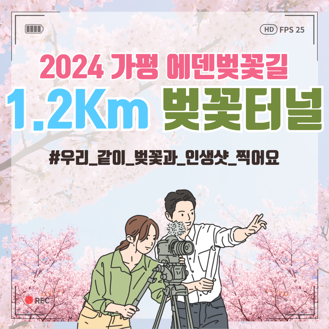 가평 벚꽃명소 에덴벚꽃길 벚꽃축제