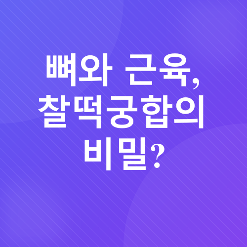 관절건강_1
