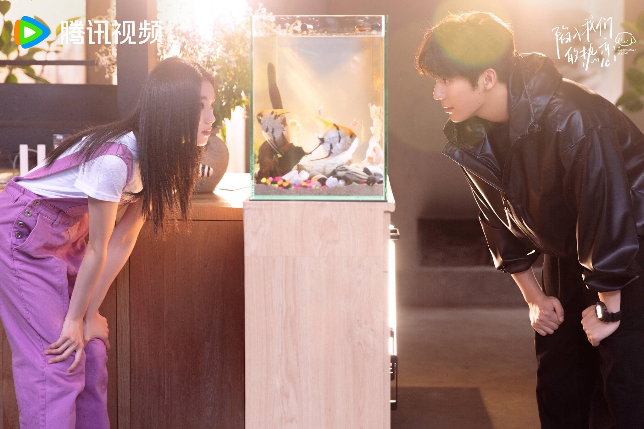 함입아문적열연(그 여름의 열애)