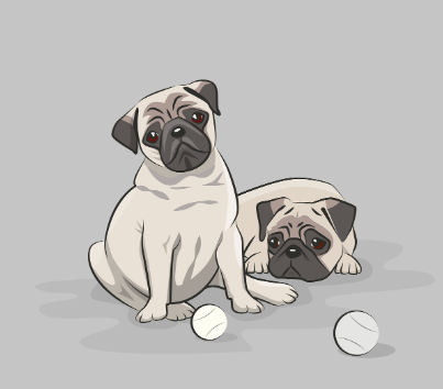 강아지 훈련사진