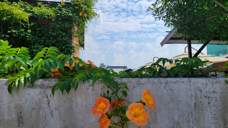 담양 해동문화예술촌