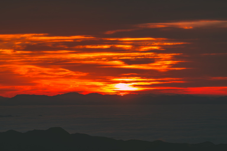 2024년 신년무료운세/&amp;gt;&amp;lt;img src=