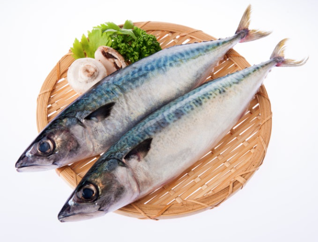 생선을 제대로 보관