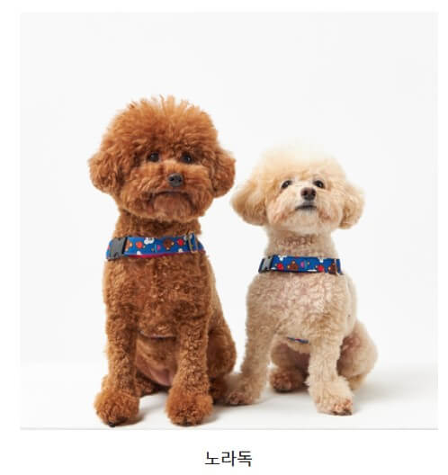 2024 크리스마스 서울 펫쇼 사전등록 입장료 주차 안내