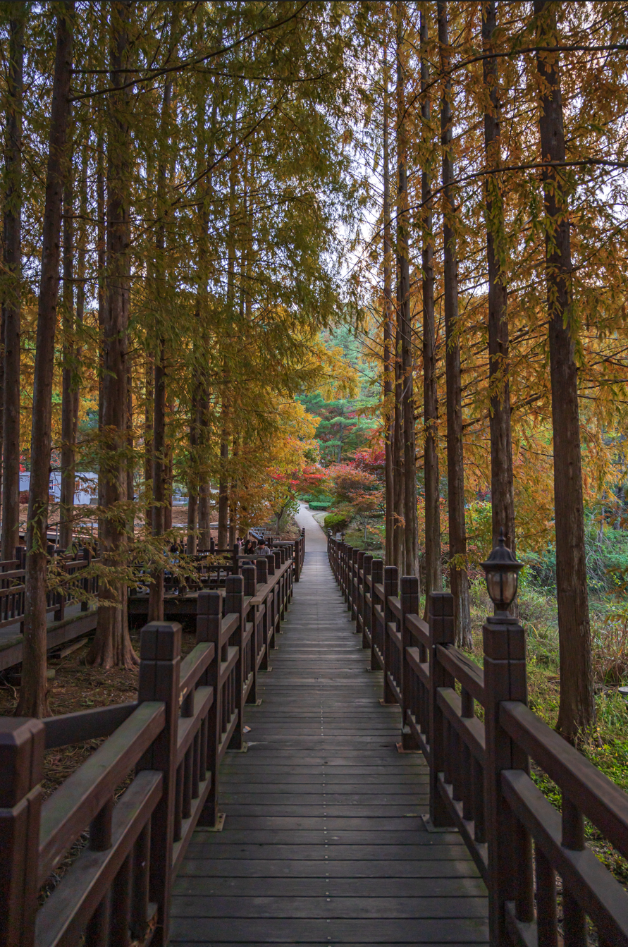 청주 가볼 만한 곳, 청남대