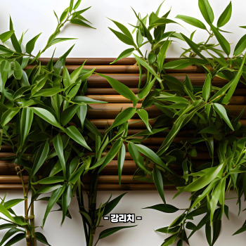 죽순 아린맛 쓴맛 제거법