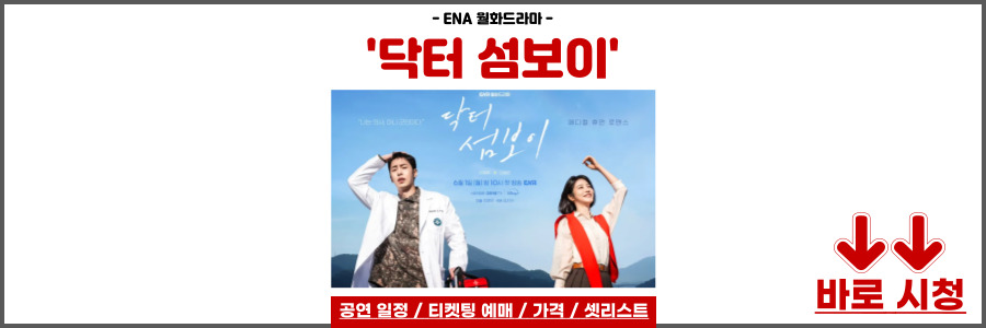 닥터 섬보이