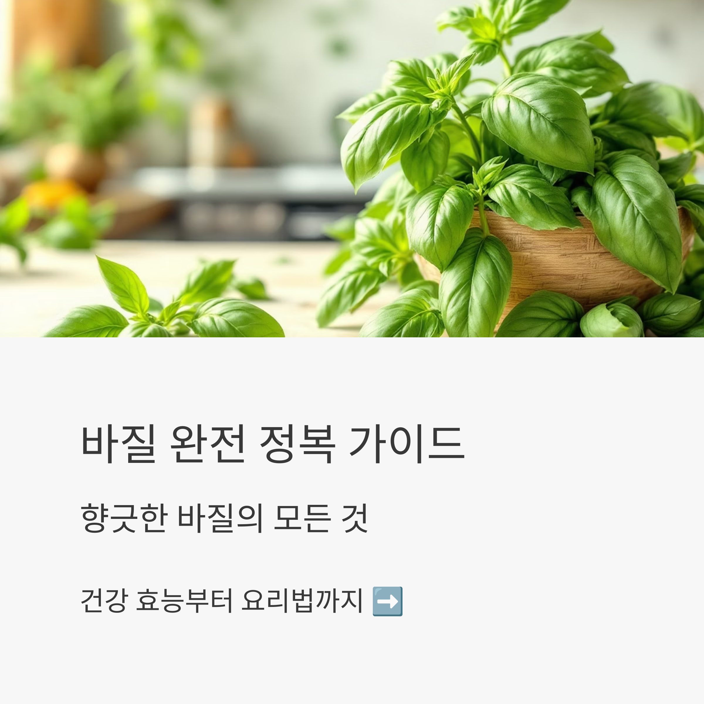 다양한 요리에 활용 가능한 바질 관련 사진