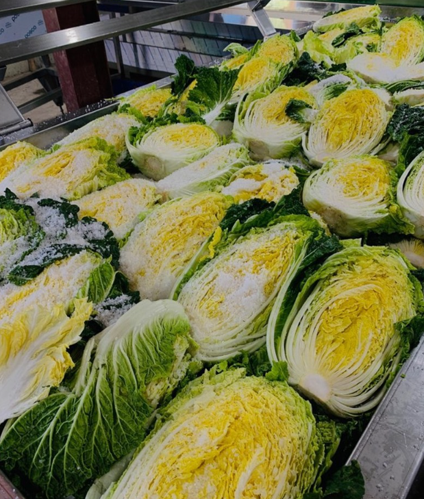 절임배추 추천 Best 3