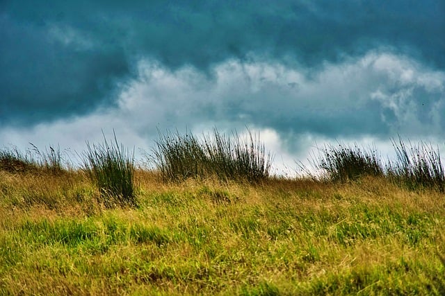 탄소중립포인트 가입 방법