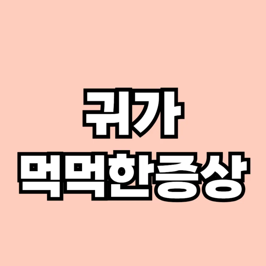 귀가 먹먹한 증상
