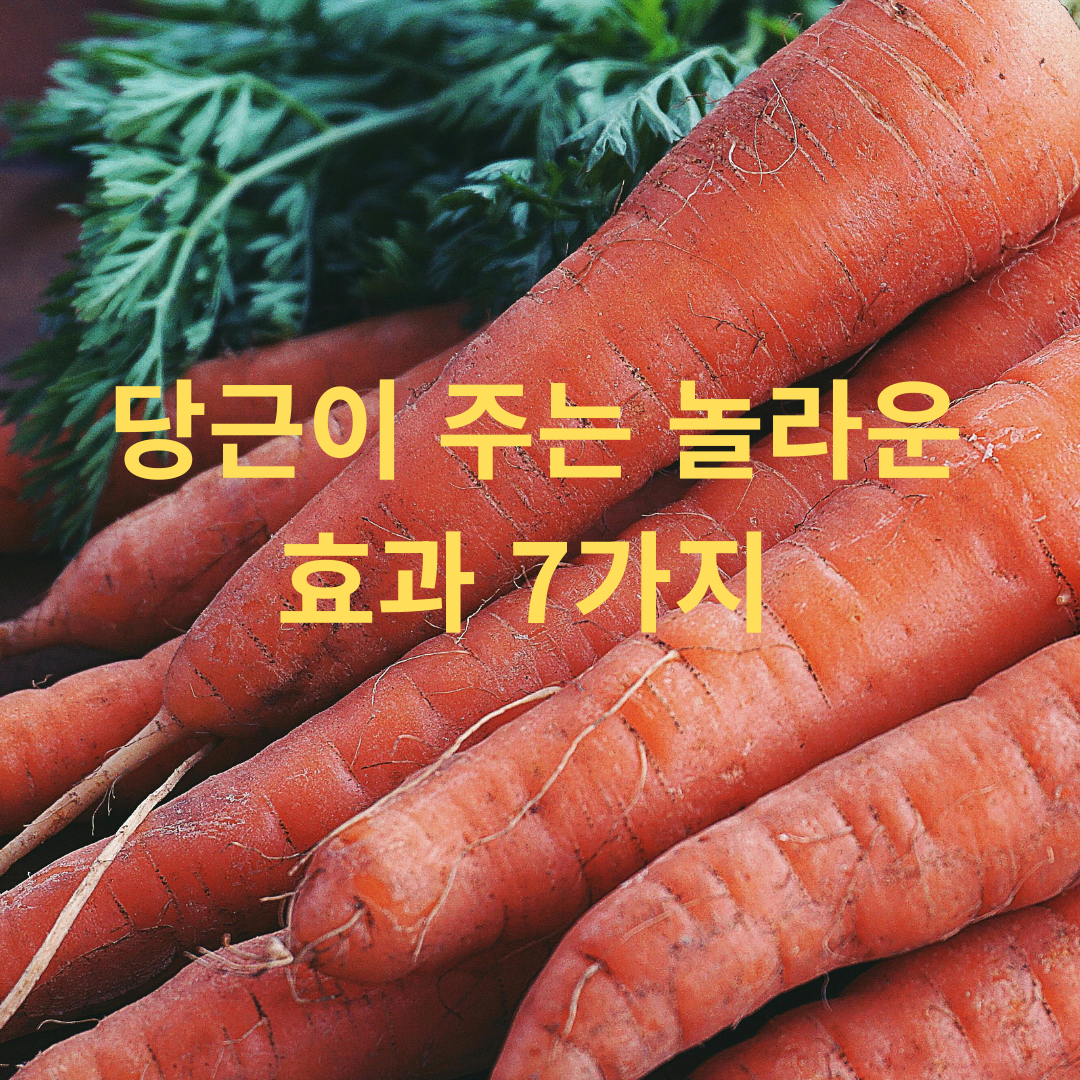 당근이 주는 놀라운 건강 효과 7가지