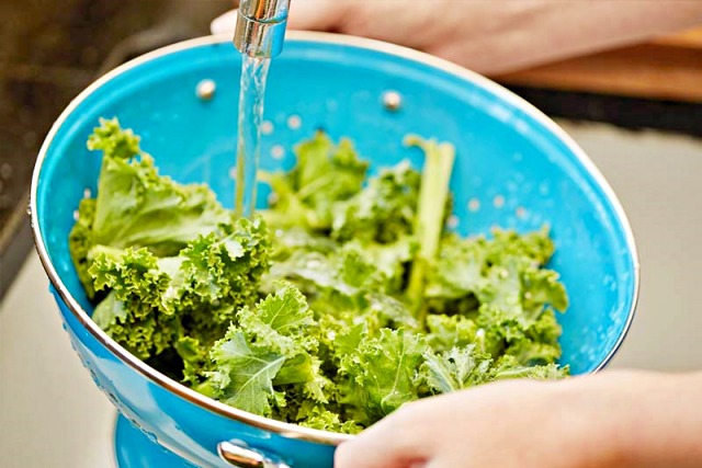 케일,단백질 많은 채소,다이어트식단추천