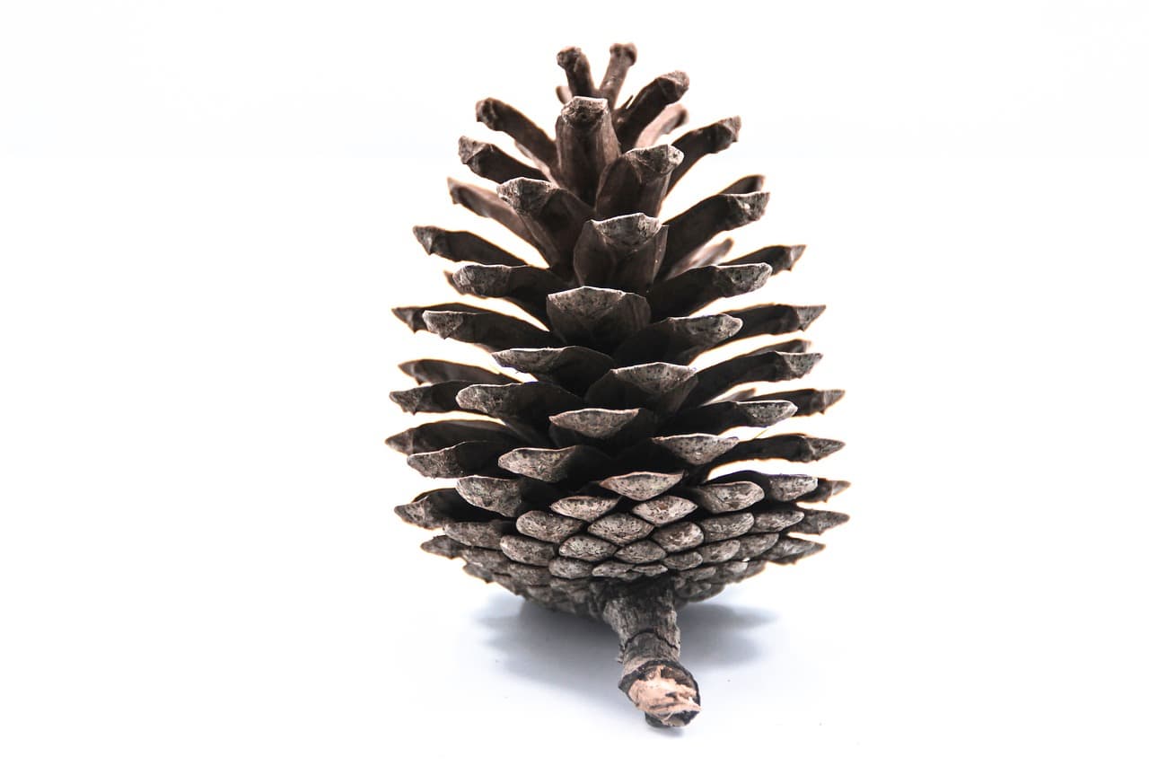 초보자를 위한 AI 툴 완전 입문 가이드: 왜, 무엇을, 어떻게 써야 할까?