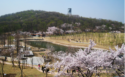 북서울 꿈의 숲