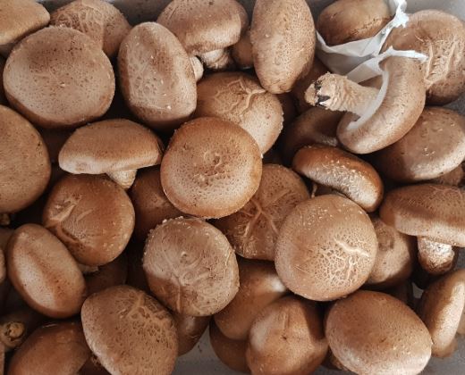 갑상선에 좋은 음식