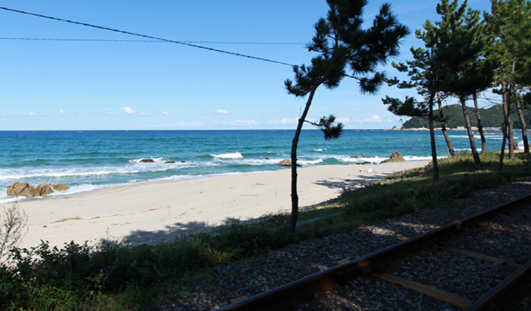 삼척 레일바이크