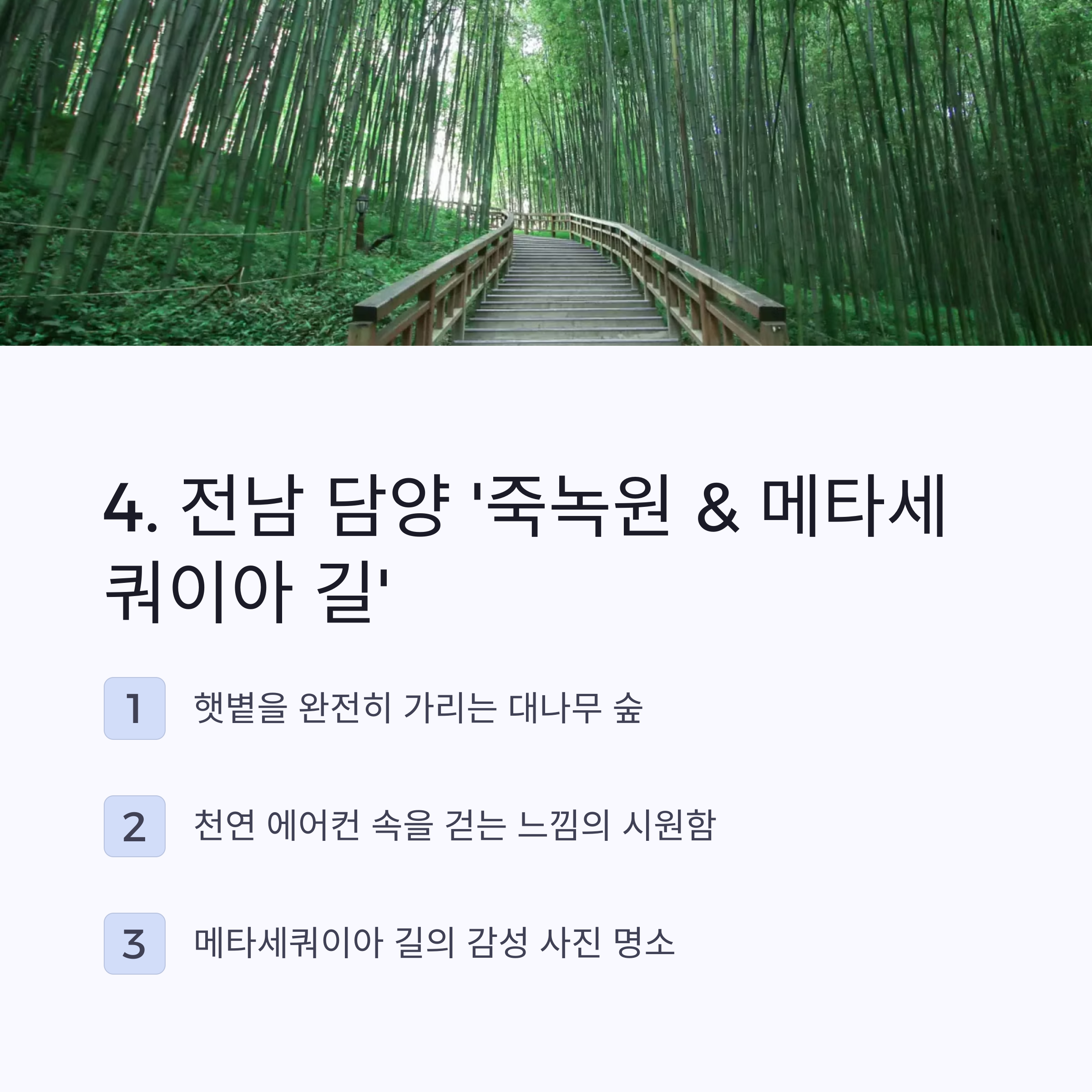 담양 죽녹원