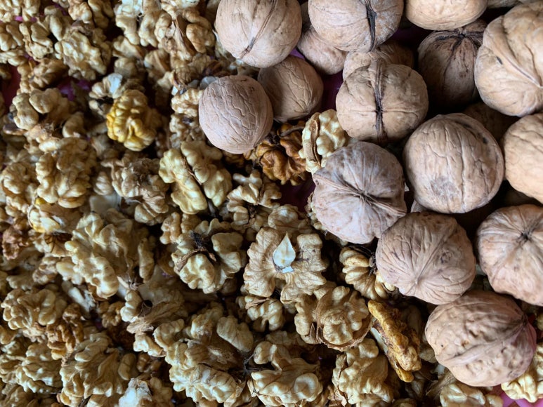 피로할 때 꼭 먹어야 할 음식 추천 견과류