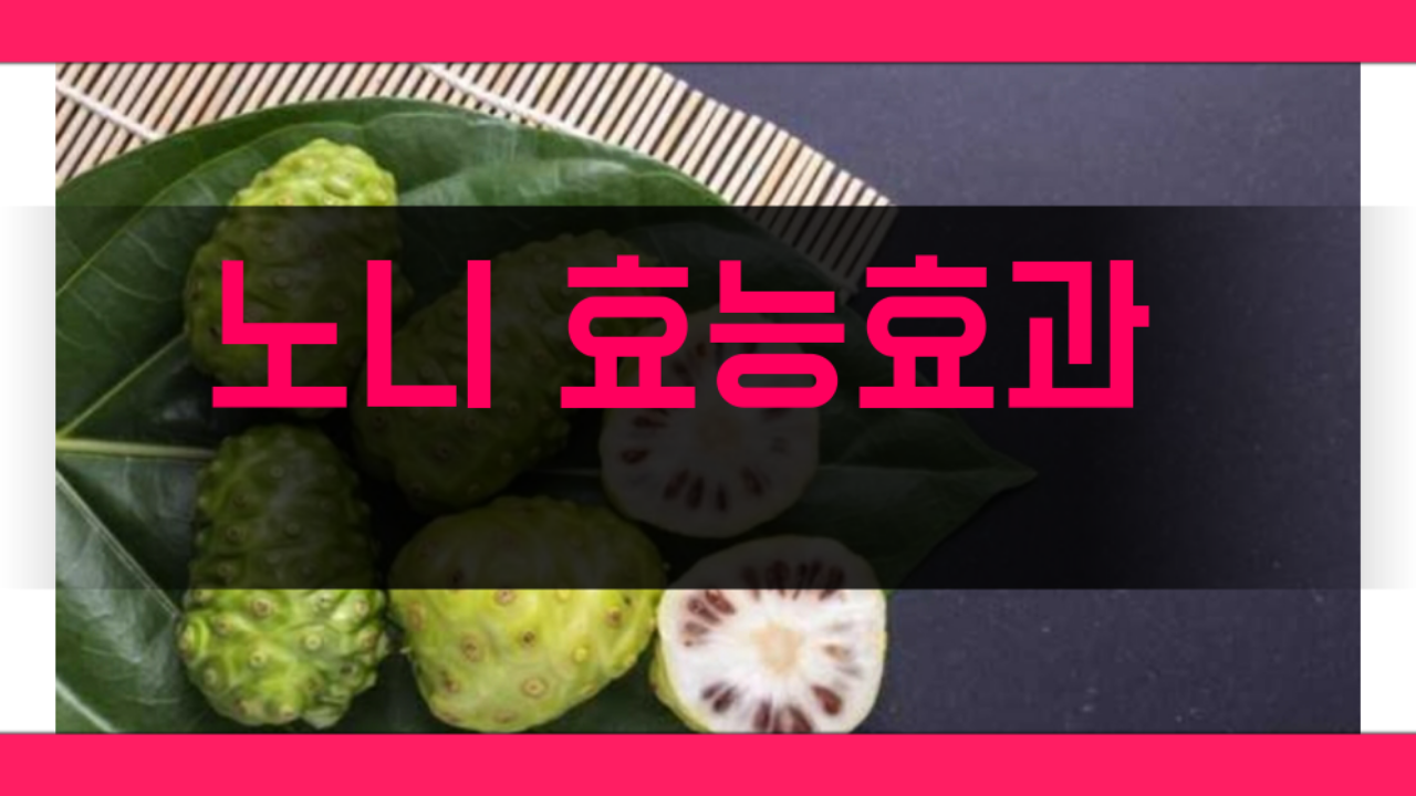 노니효능