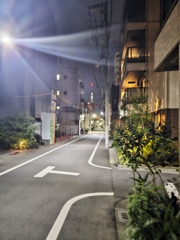 도쿄 호텔 세일스 스카이트리 