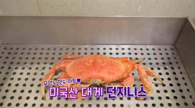 던지니스
