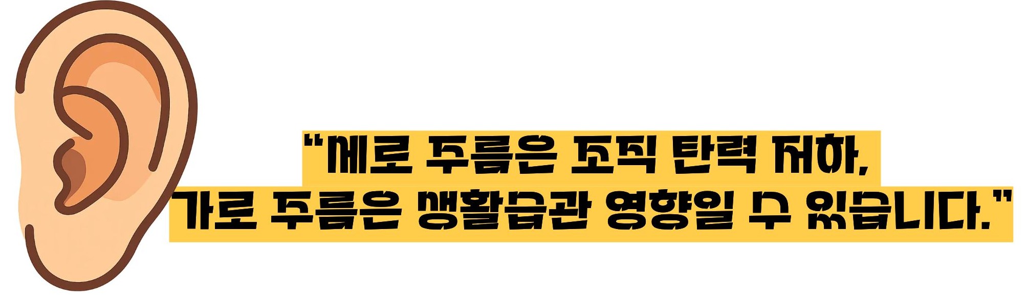 귓불에 주름의 신호