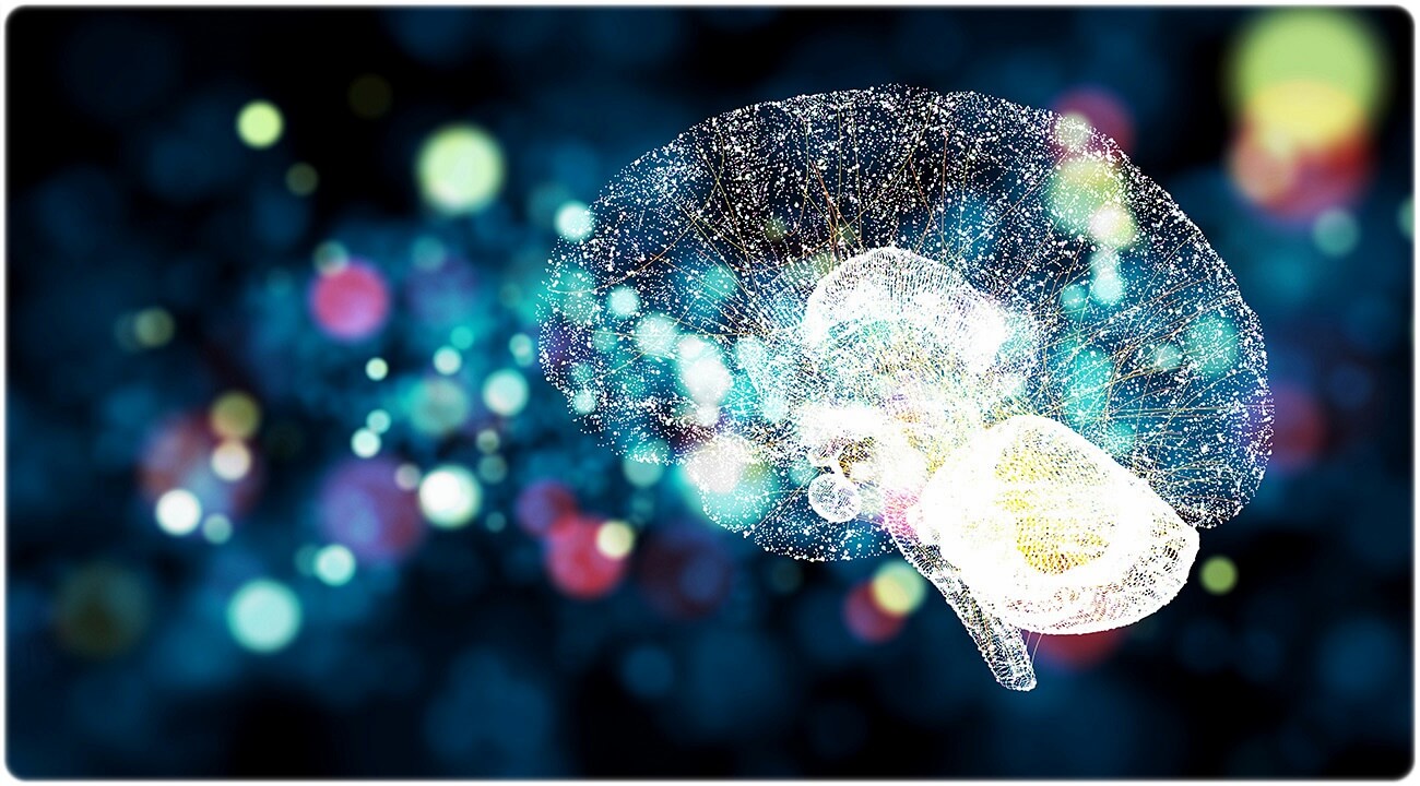 아이큐 높은 사람 특징