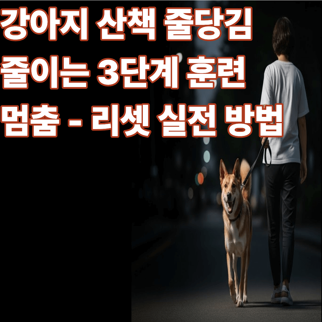강아지 산책 줄당김 줄이는 3단계 훈련 멈춤 리셋 실전 방법